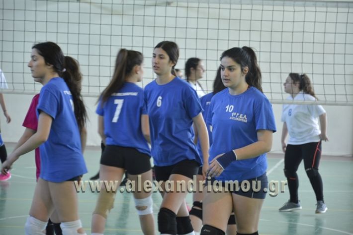 volley_1o-alexandreias-melikis2018 (48)